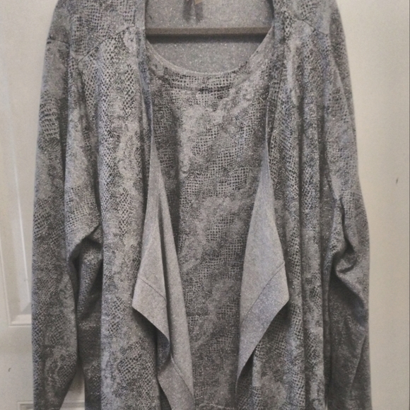 Silver "metallic" print 2-piece Top - Picture 1 of 4